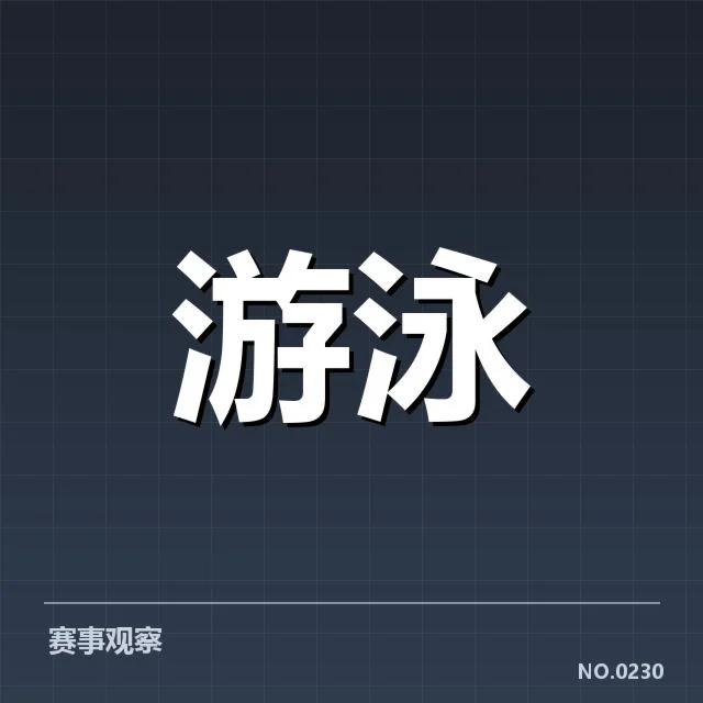 2024年男子蛙泳锦标赛：顶尖选手技术细节解析